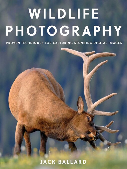 Title details for Wildlife Photography by Jack Ballard - Available